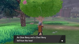 Pokemon Sword and Shield Berry Tree