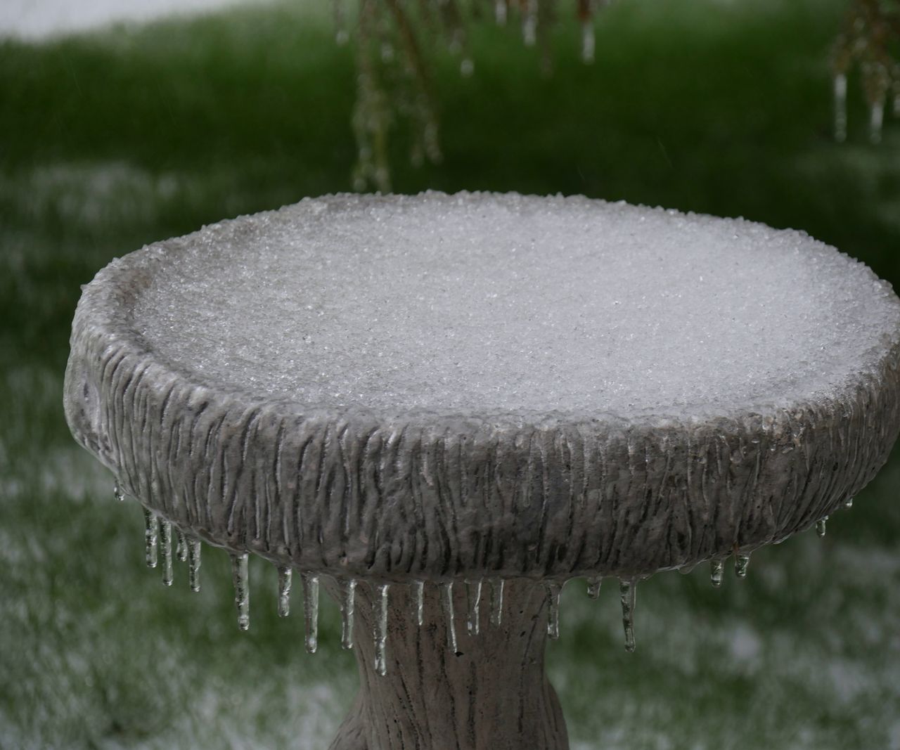 Bird bath winter care 5 essential tips from the experts Homes & Gardens