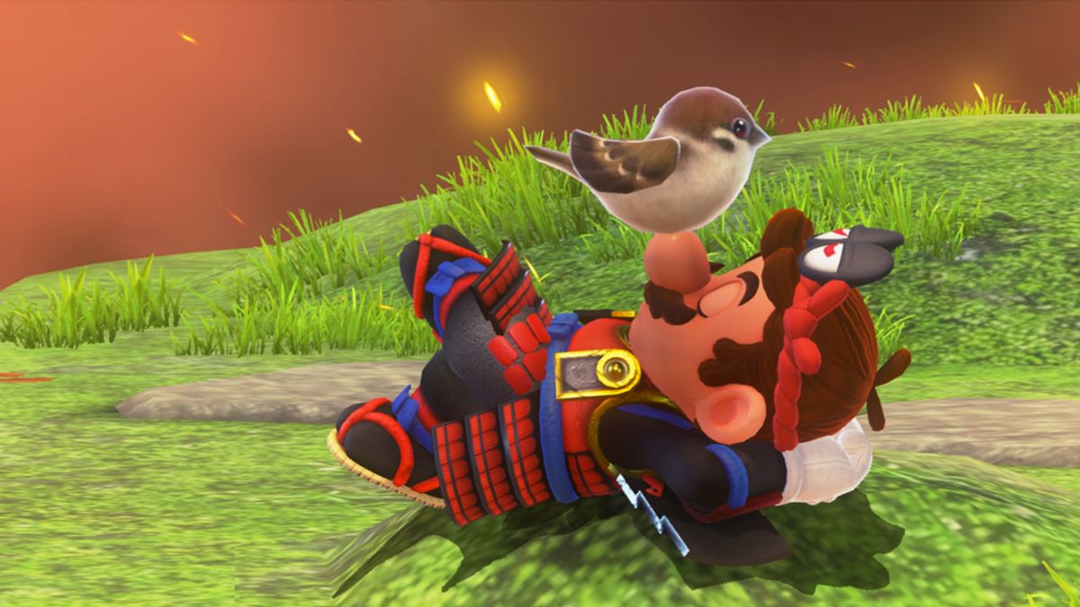 Brown sparrows in Bowser&rsquo;s Kingdom