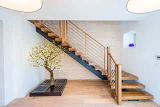 Hallway with miniature tree and staircase with textured wall