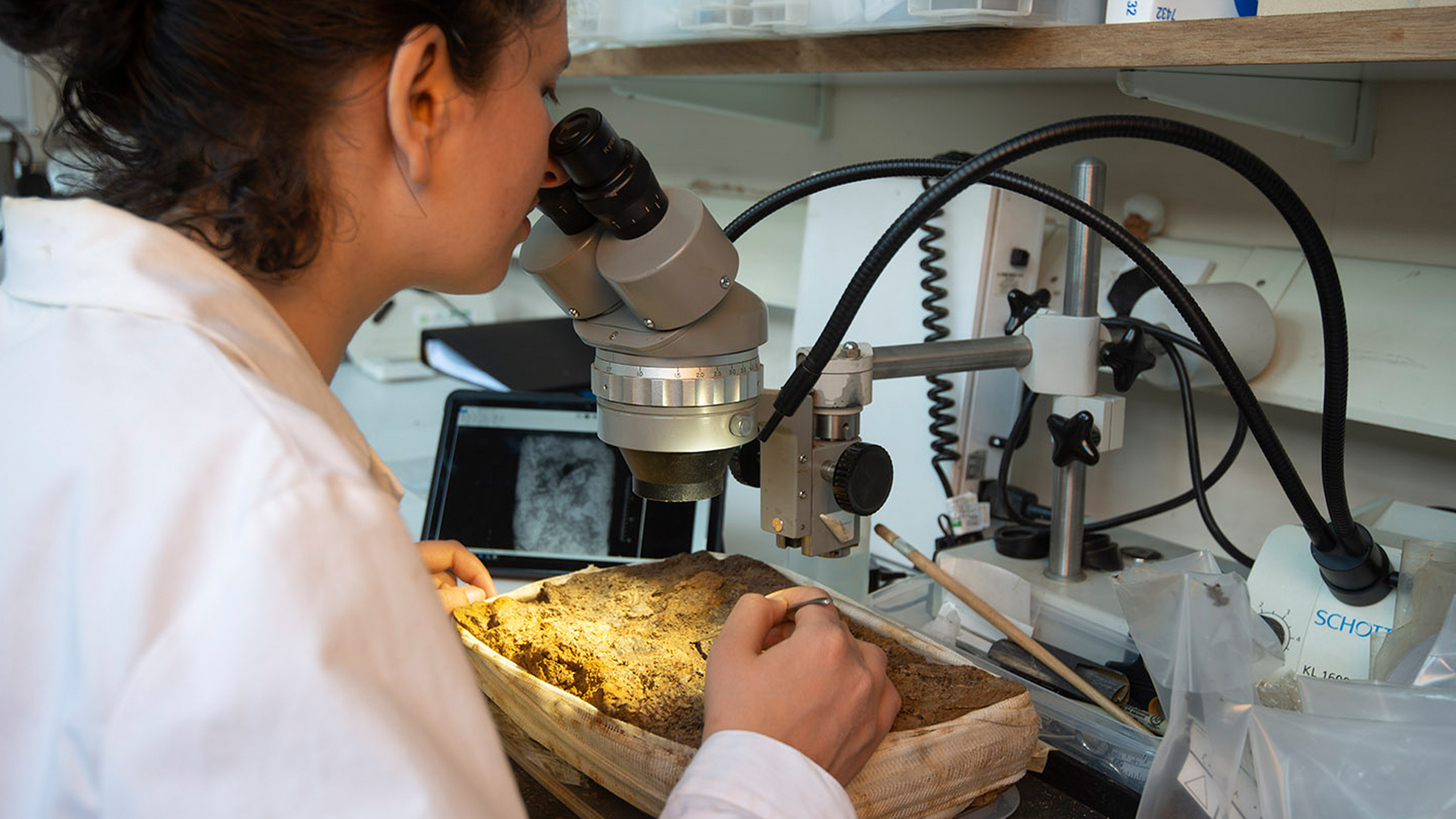 La conservadora Rita Boultylkova examina el ajuar funerario bajo un microscopio.