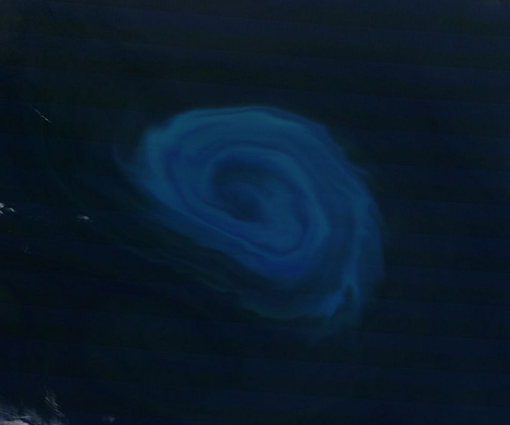 Phytoplankton bloom off South Africa