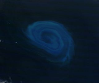 Phytoplankton bloom off South Africa