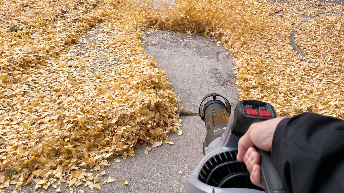 Enhulk 58V 930 CFM Leaf Blower being used in writer&#039;s yard