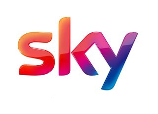 Sky router flaw