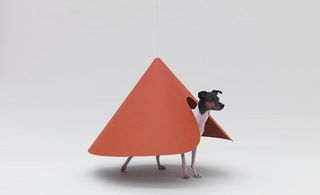 Orange conical-shaped playhouse with cut-out door, creating a dog house for a Japanese terrier