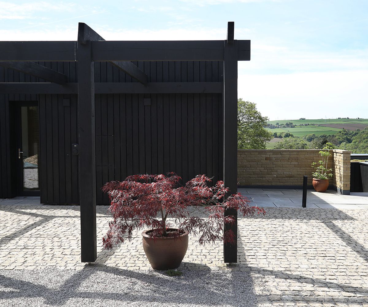 A single ornamental acer tree sits in a clay pot on brick paved driveway. The home itself is a black clad timber newly constructed self build home