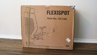 Flexispot Pro Plus Mesh OC14 in office