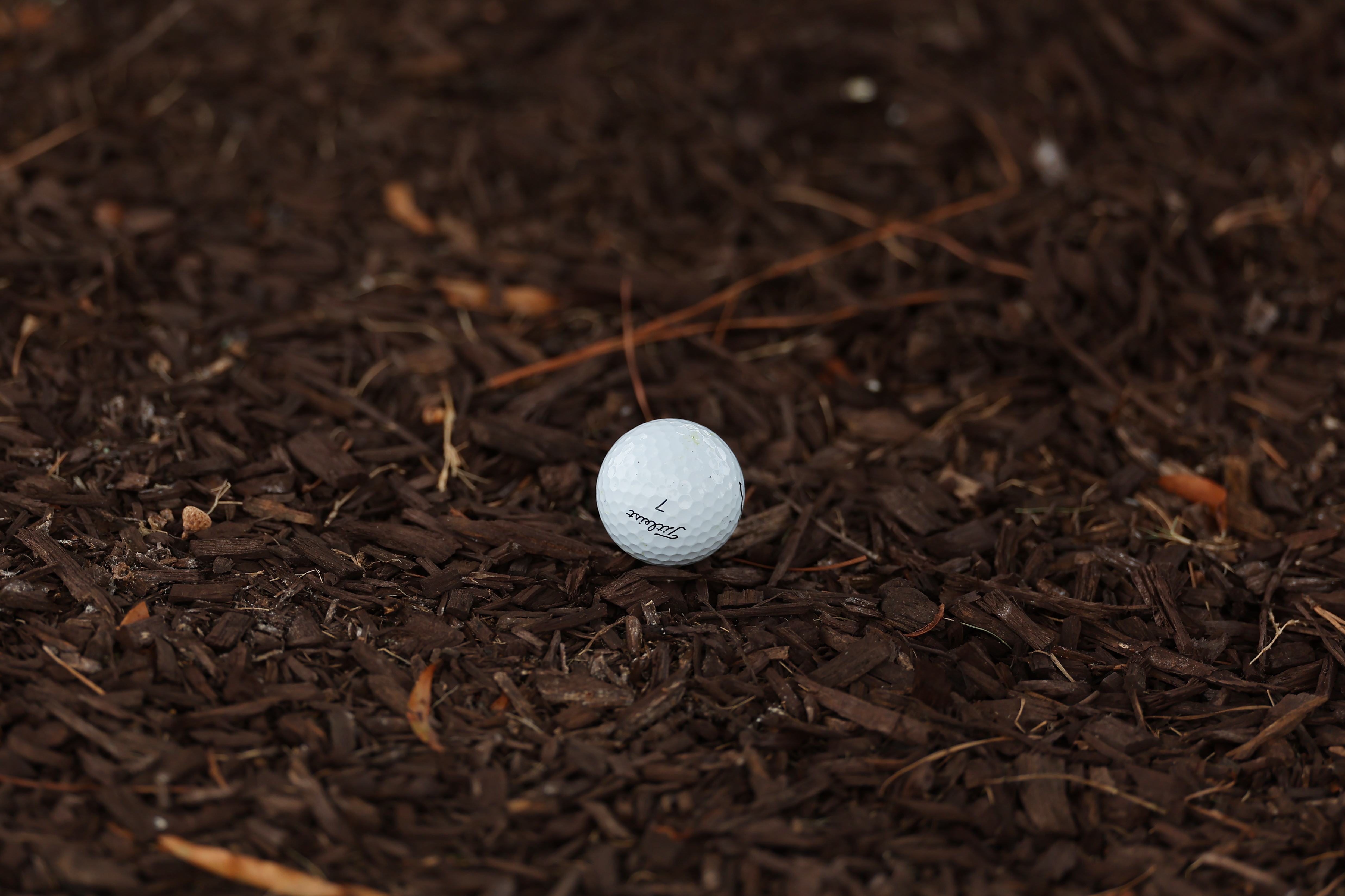 A close-up of Scottie Scheffler's golf ball