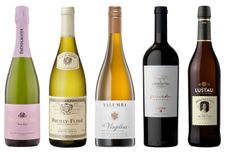 ASC DWWA 2020 wines