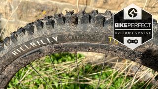Specialized Hillbilly mud tire