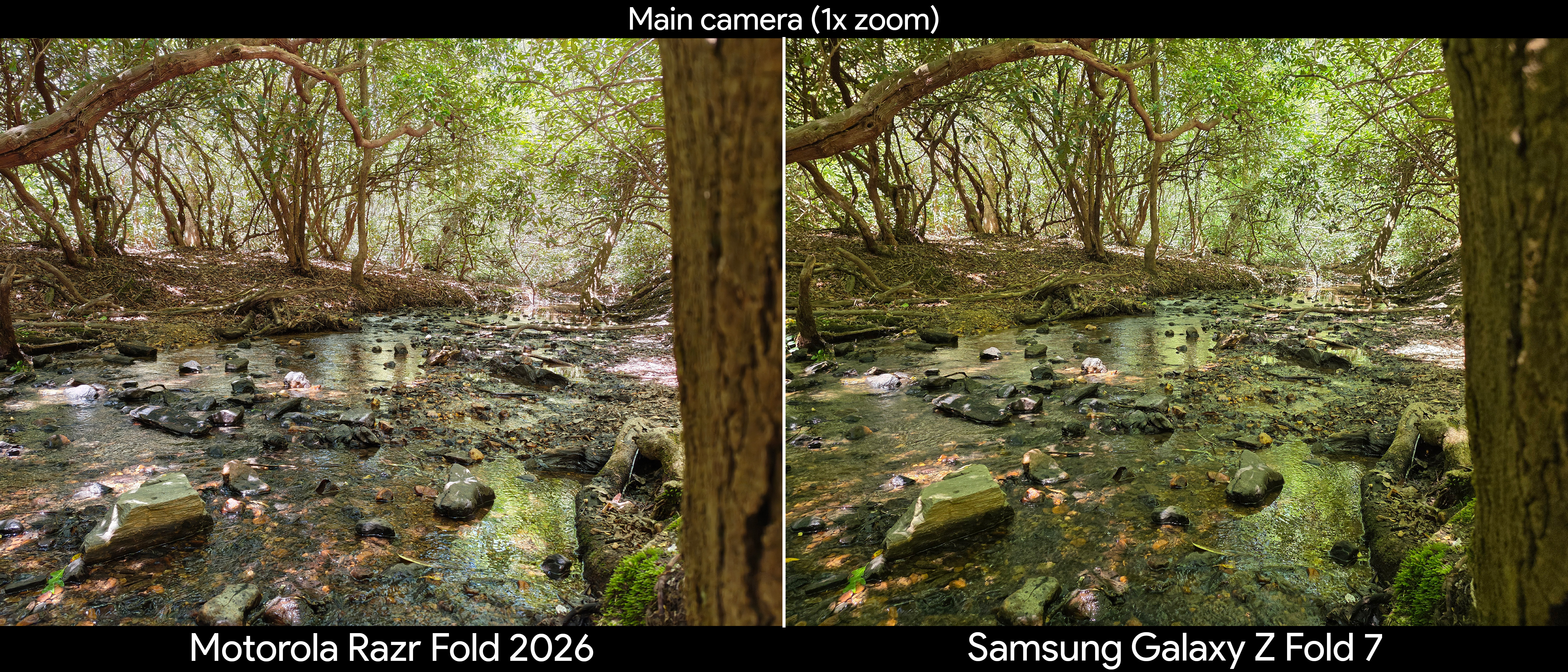 Comparing camera quality between the Motorola Razr Fold 2026 and Samsung Galaxy Z Fold 7