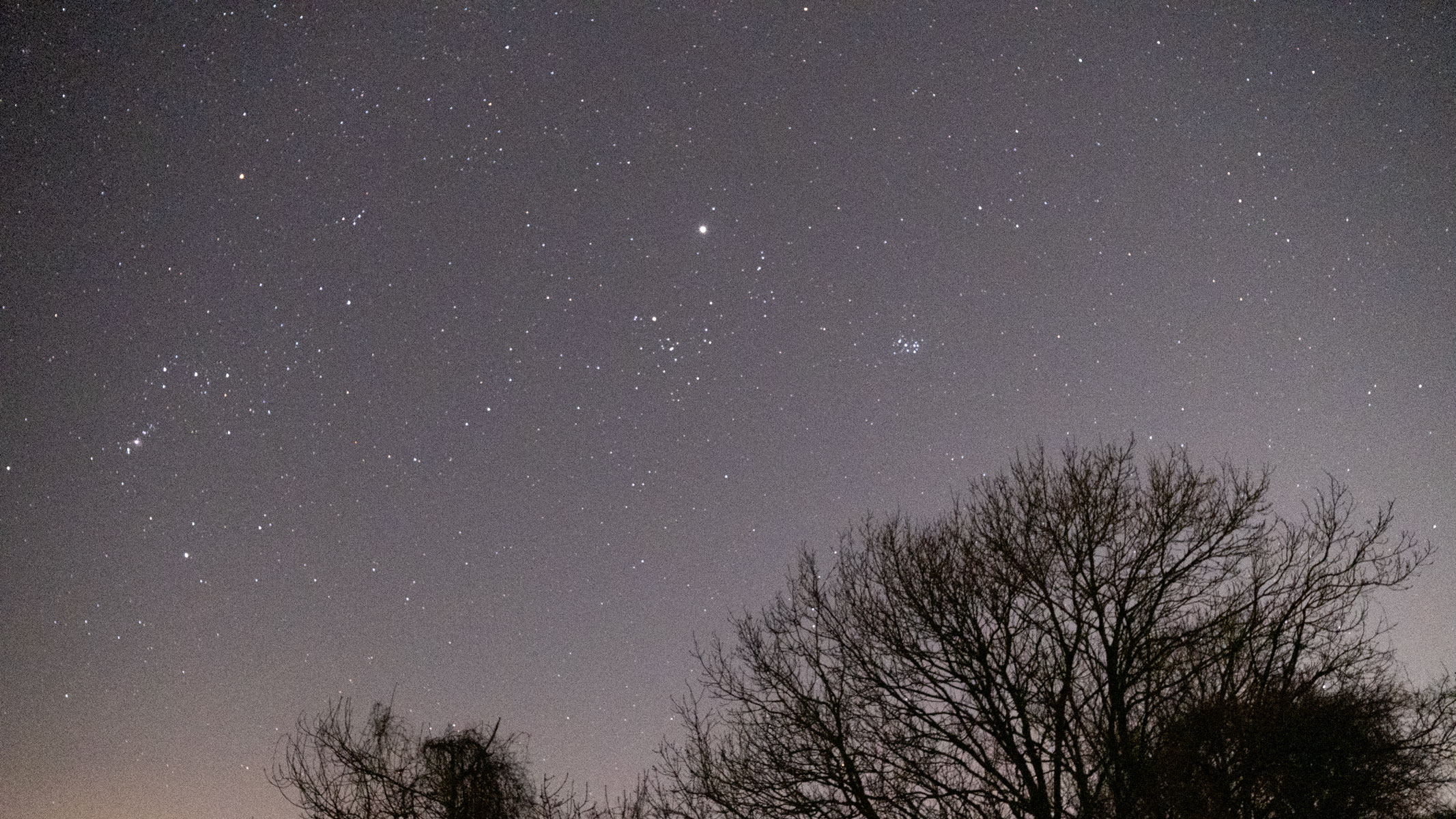 A grainy photograph of the night sky showing Orion, Jupiter and the Pleiades with trees at the bottom.