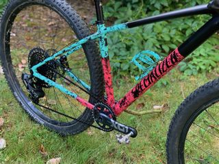 Anne-Marije Rook spray painted her hardtail