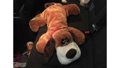 US Customs and Border Patrol agents found two pounds of meth in this toy dog