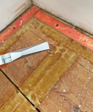 Floor staple being removed from floorboards with a pair of pliers