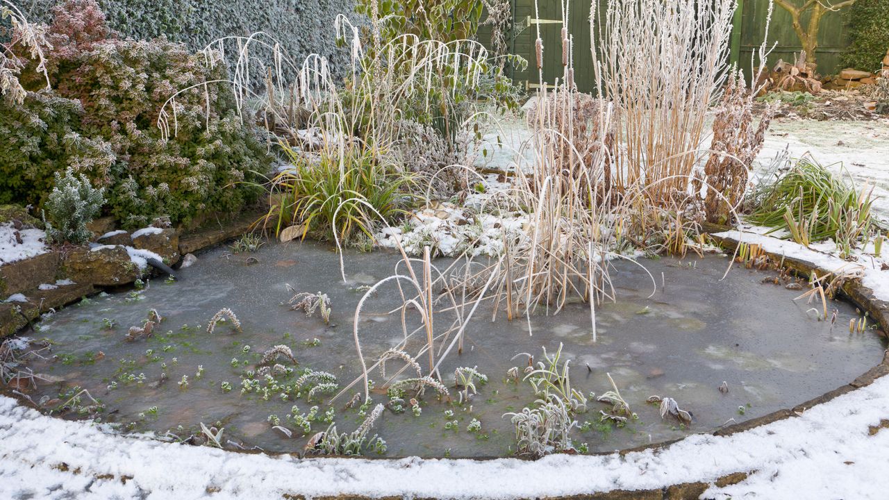 garden ponds