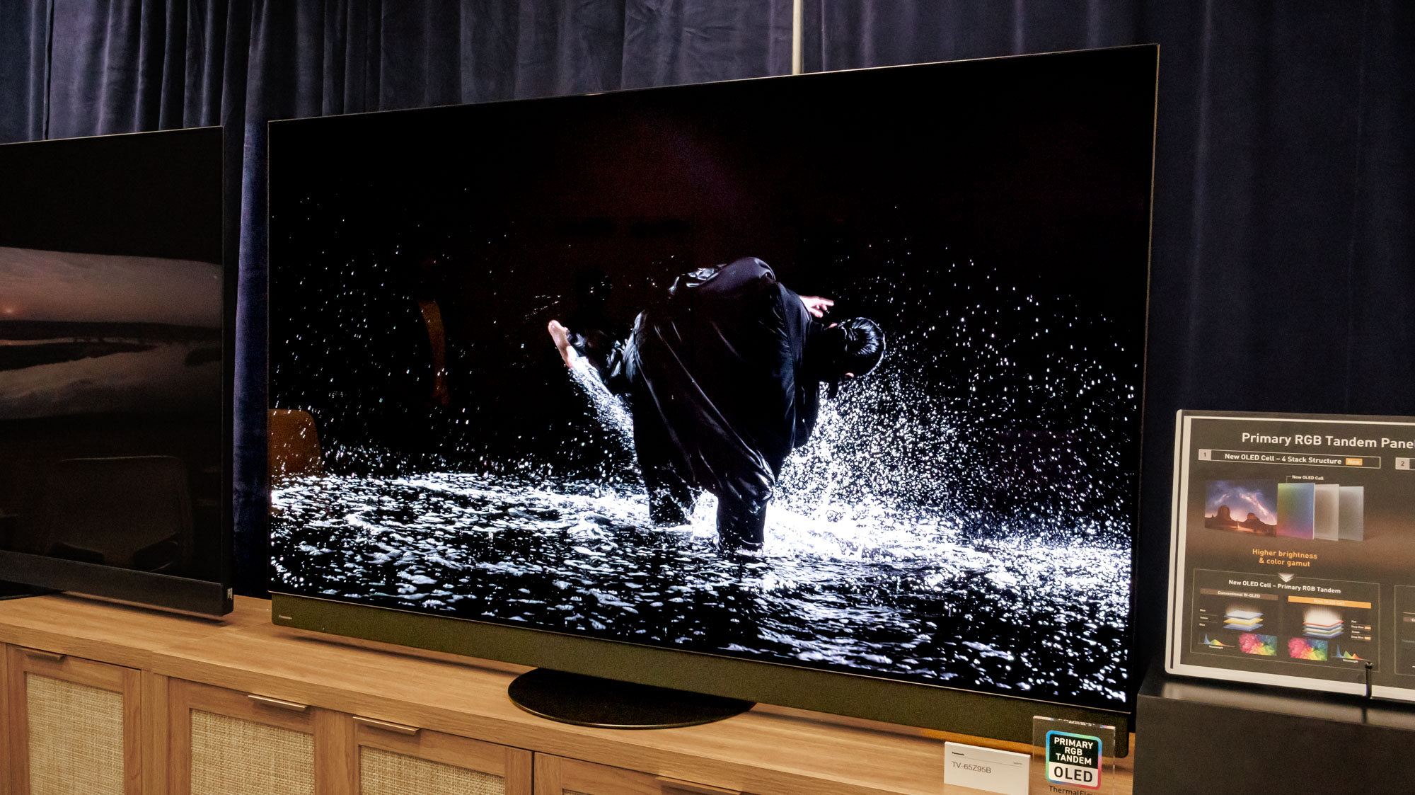 Panasonic Z95B