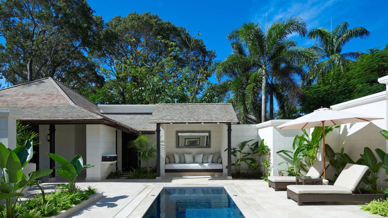 Coral Reef Club