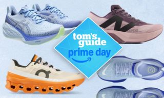 a photo of running shoes