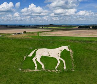 An image of Denzies White Horse