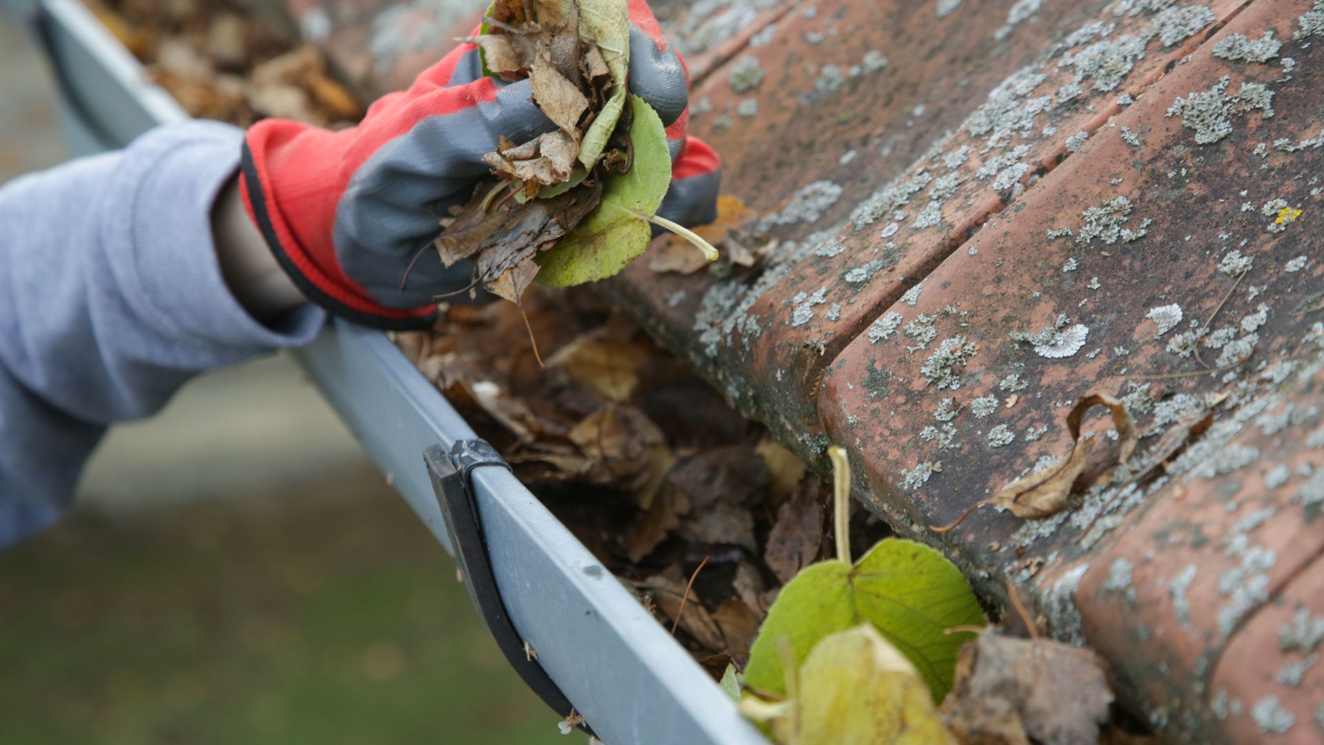 picture of person removing leaves out of gutter with gloves