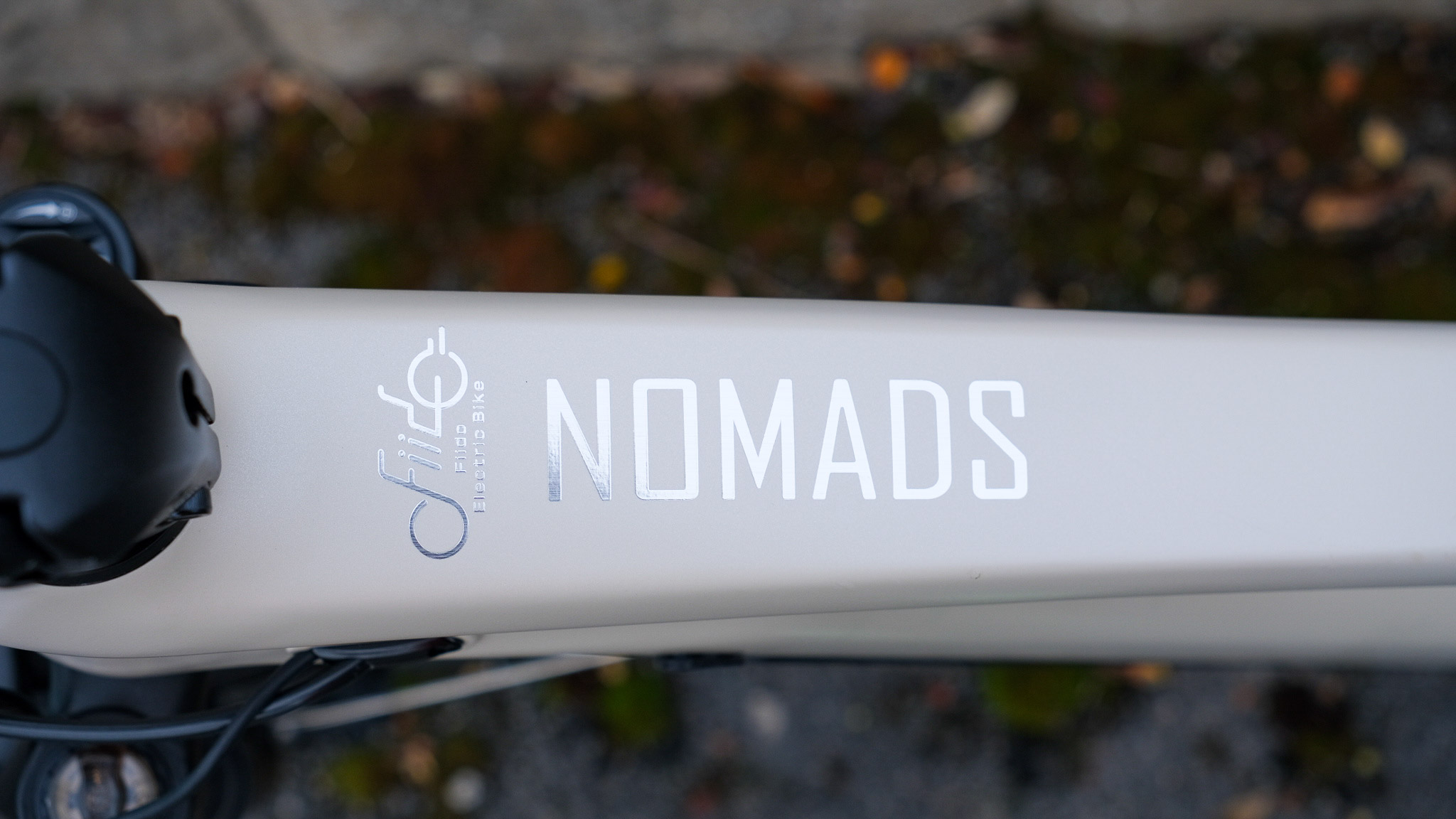 Fiido Nomads review