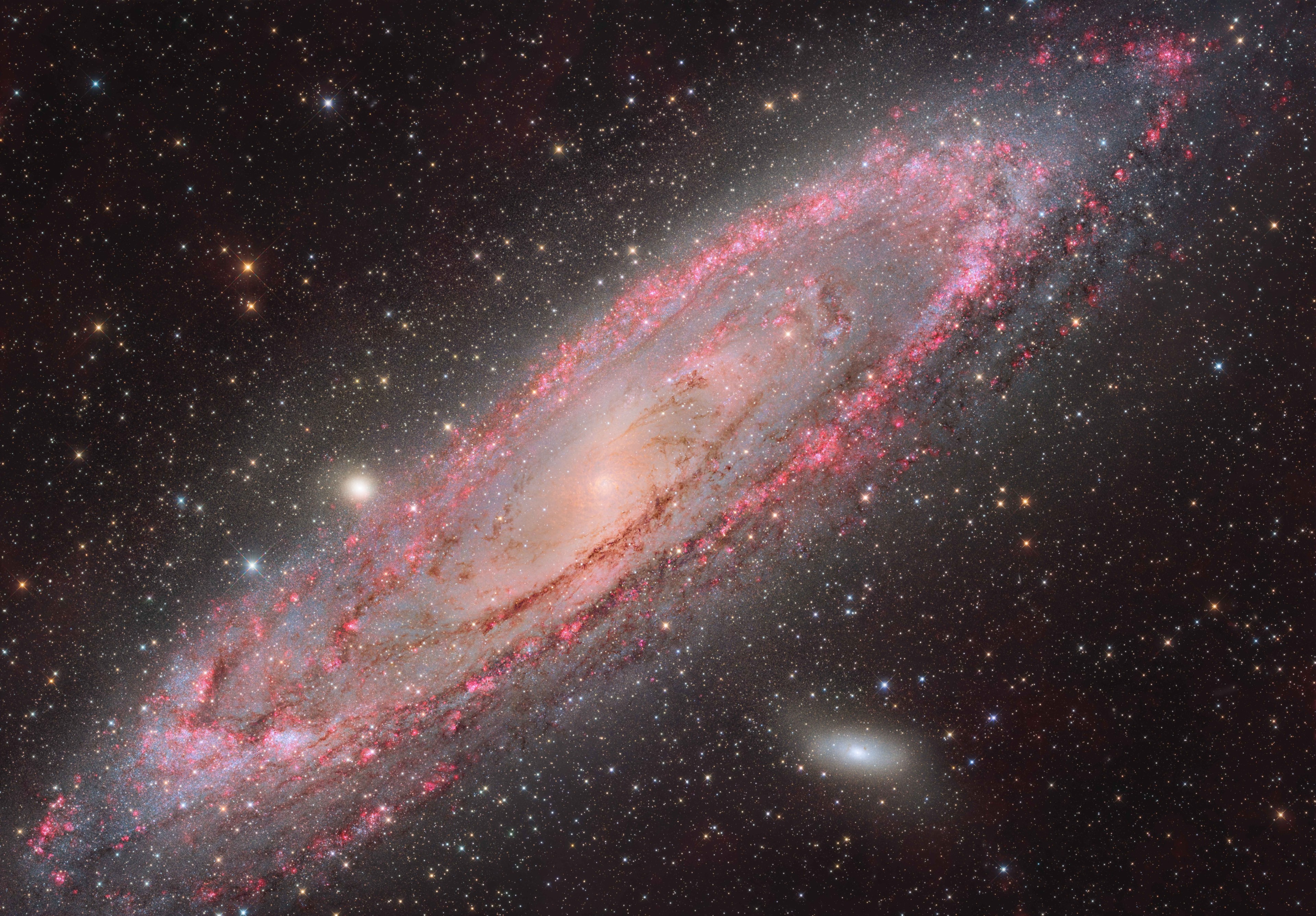 a pink-and-white spiral on a starry background