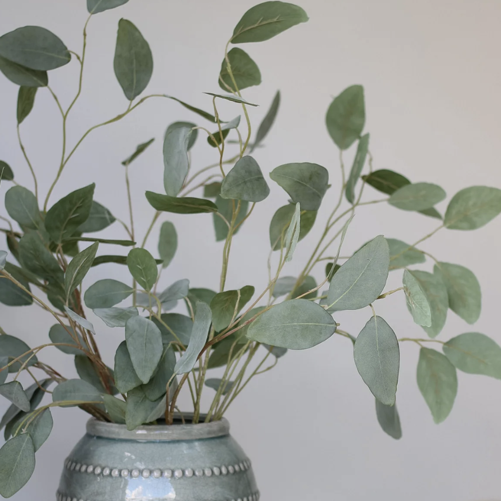 eucalyptus sprigs