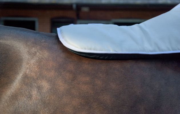 WeatherBeeta Memory Foam Comfort Half Pad review