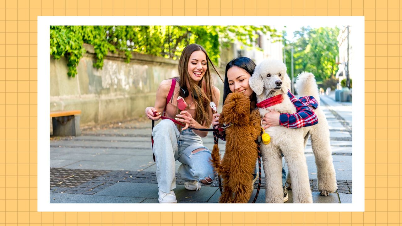 A female couple playing with their dogs on the city streets on a sunny day