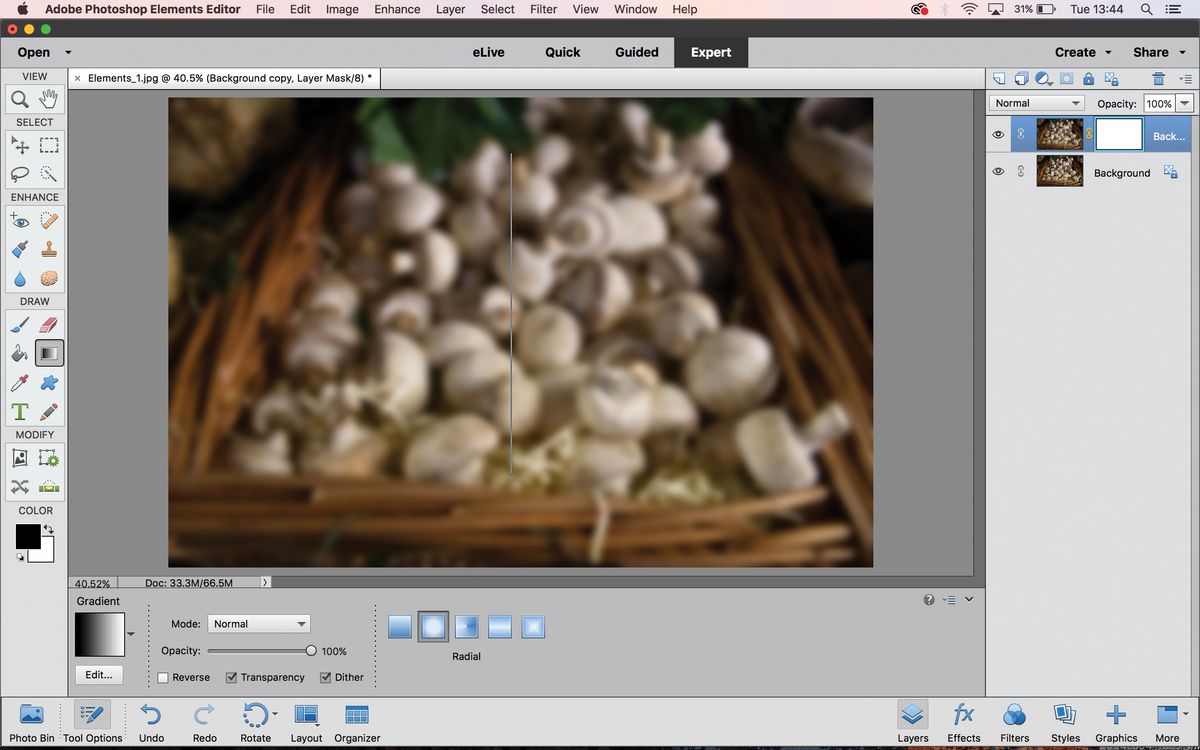 Photo Focus Effect How to create a soft focus effect in Photoshop Elements | Digital ...
