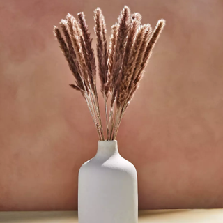 A brown bunch of pampas grass in a white vase