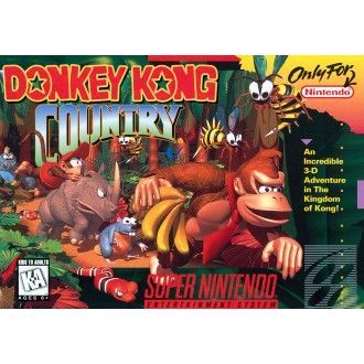 Donkey Kong Country