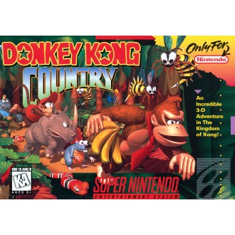 Donkey Kong Country