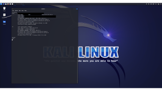 The Kali Linux software: "Look mum, I'm a l33t hacker now"