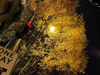 Google Pixel XL low light sample