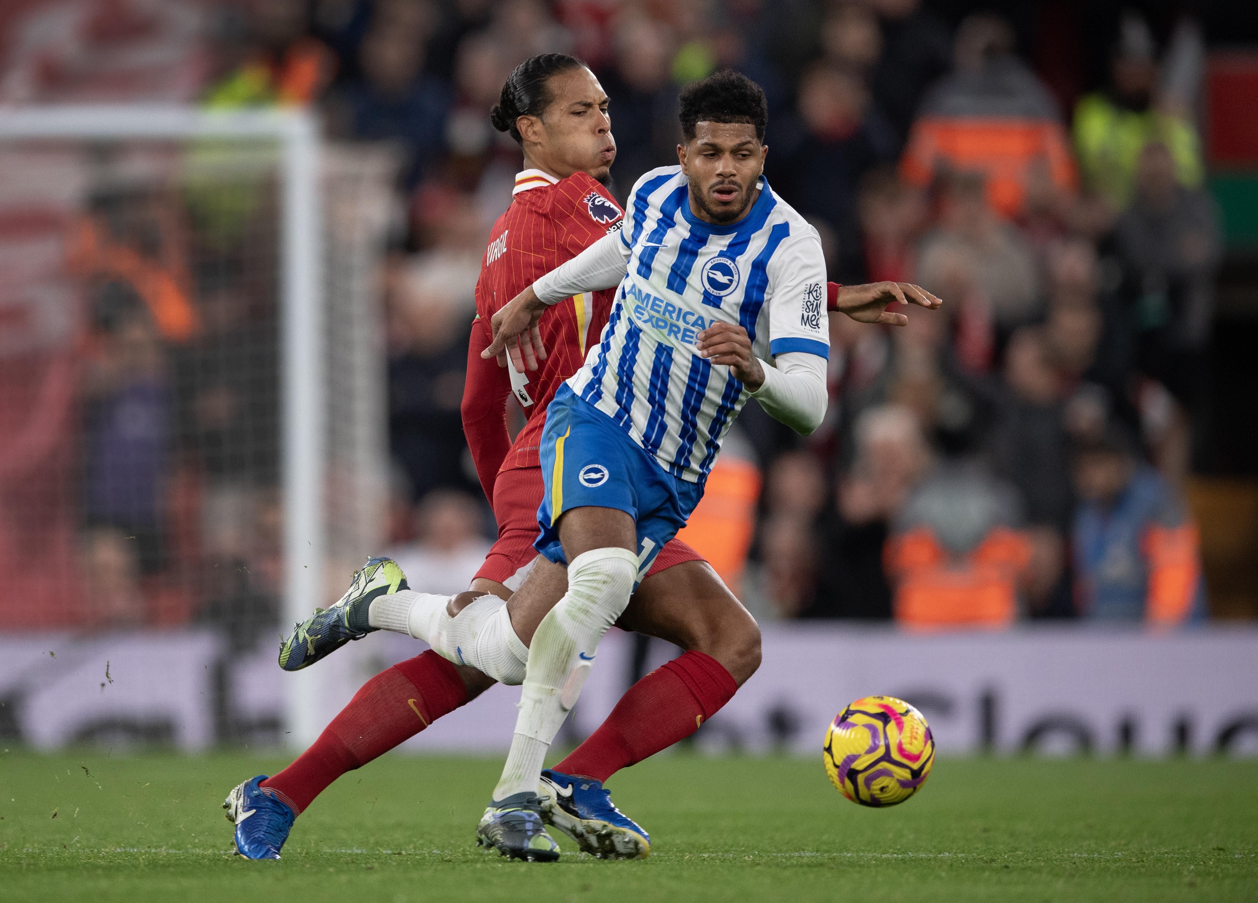 Come guardare Brighton vs Liverpool: live streaming, informazioni TV Come guardare Brighton vs Liverpool: live streaming, informazioni TV