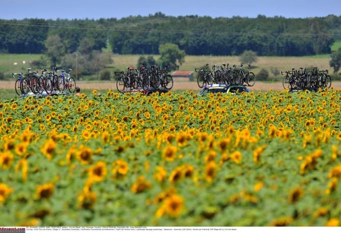 A classic shot of the Tour passing a field of sun flowers
