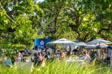 Auction Napa Valley 2025