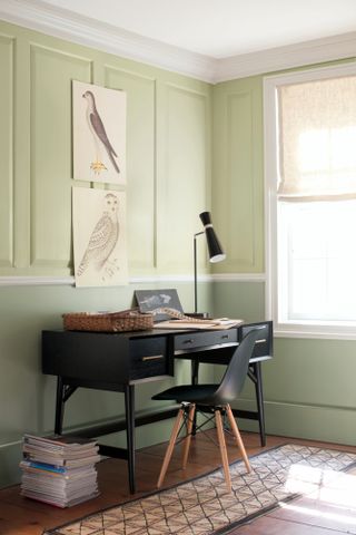 Office with dark wood flooring, green walls, black desk and chair