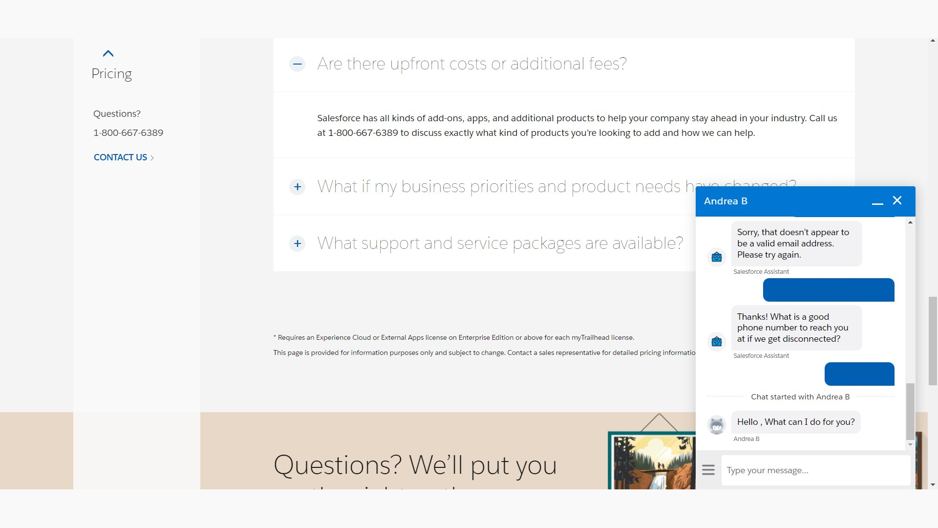 Screenshot of Salesforce customer service chat.