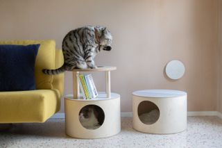 a side table designed as a cat bed