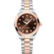 Aqua Terra 150m Seamaster Steel - Sedna™ Gold Master Chronometer Certified Watch 220.20.30.20.63.001