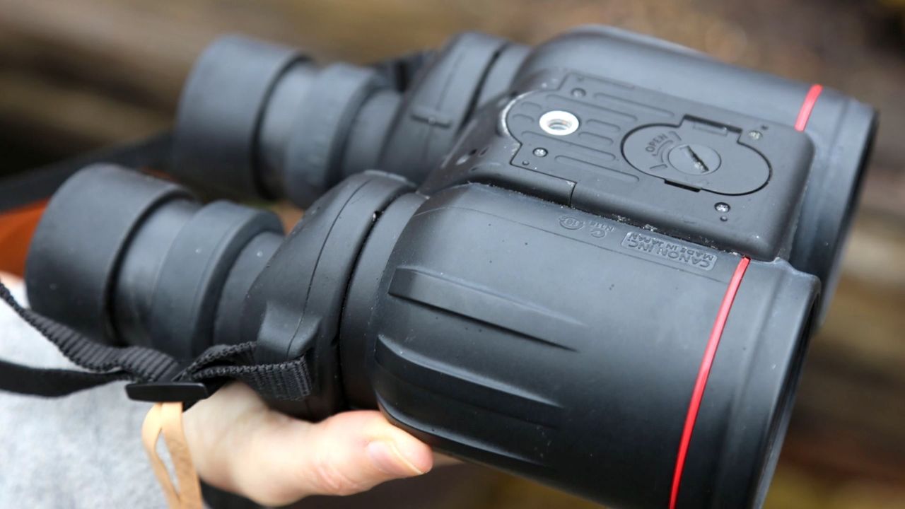 Canon 10x42L IS WP binoculars review