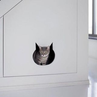 cat cave carving litter tray
