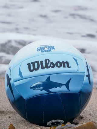 Wilson Volleyball Shark Week