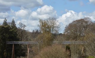 The STIHL Treetop Walkway