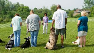 dog training class