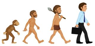 human evolution illustration